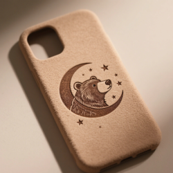 Case2